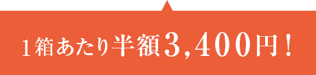 1箱あたり半額3,400円!