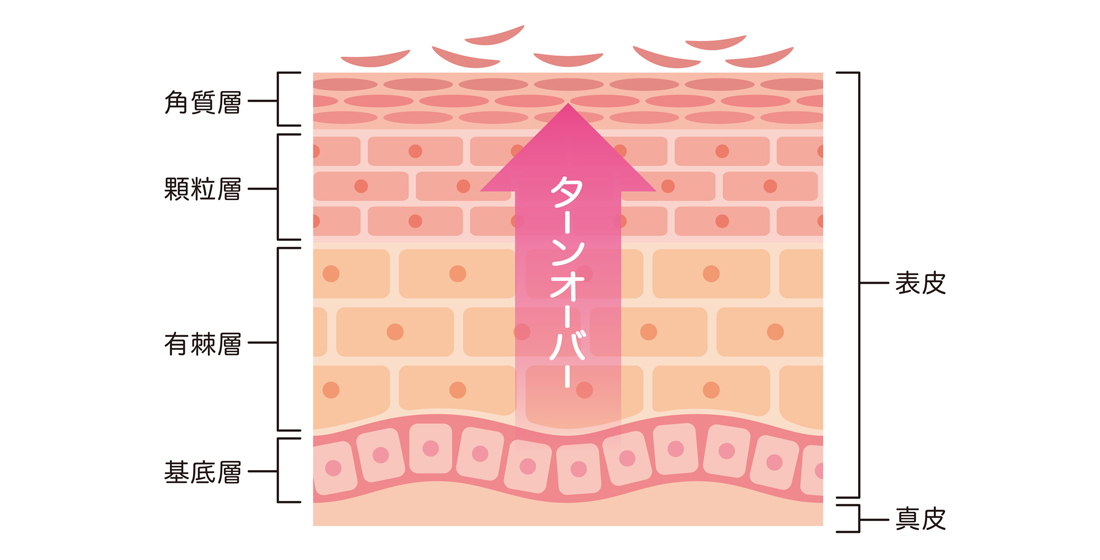 お肌がくすんできたように感じてきたら。ターンオーバーの乱れにピーリングケア