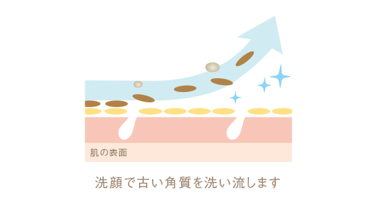 ⾓質ケア成分AHA（グリコール酸）の⼒で、肌表⾯にたまった古い⾓質をやさしく洗い流して、肌が本来もっている美しさをサポートします。