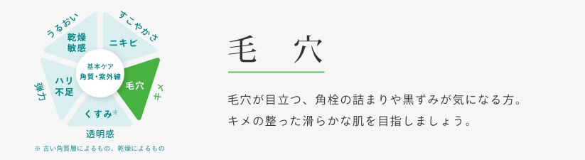 毛穴 毛穴が目立つ、角栓の詰りや黒ずみが気になる方。キメの整った滑らかな肌を目指しましょう。