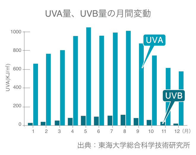 じつは、1年中降り注いでいます。